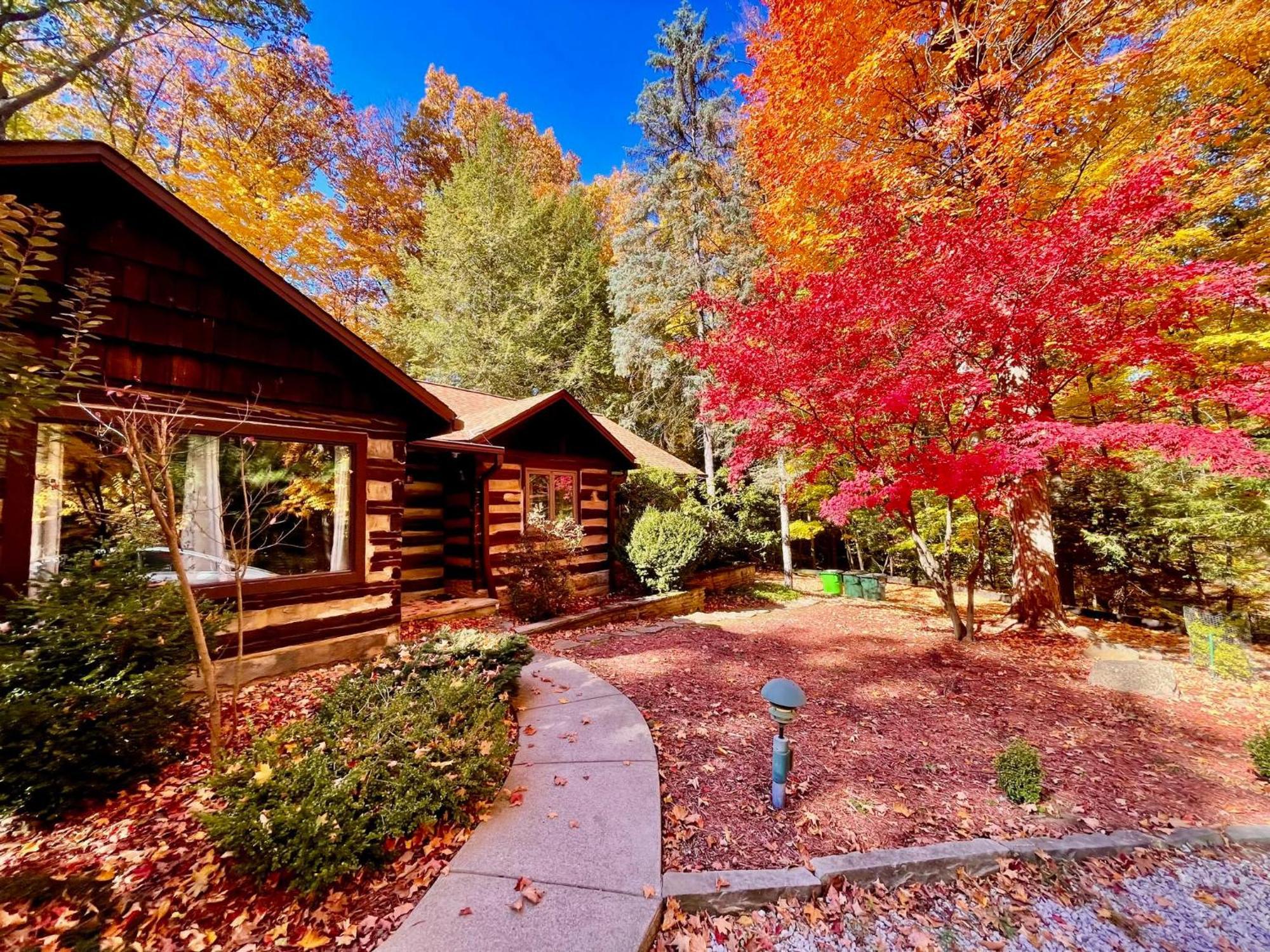 Log Cabin - Natures Oasis - Fire Pit & Gazebo Cleveland Luaran gambar
