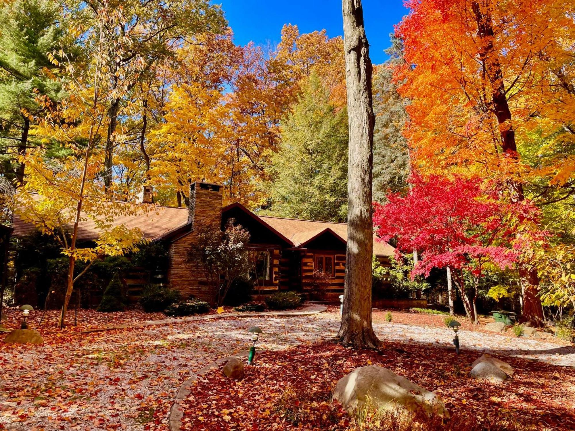 Log Cabin - Natures Oasis - Fire Pit & Gazebo Cleveland Luaran gambar